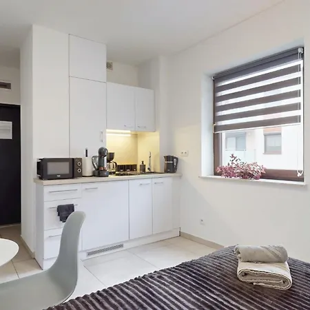 Apartmán Fibra Metrio Rybnik (Silesia)