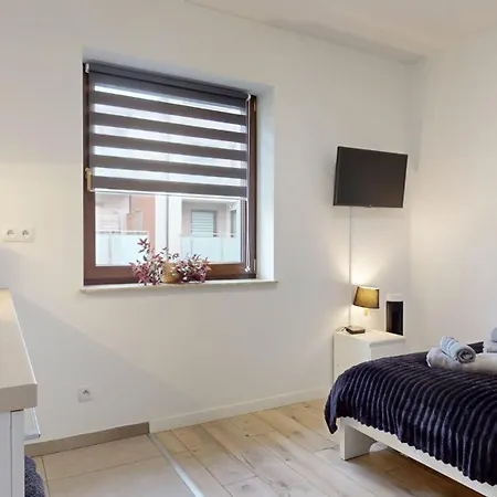 Apartmán Fibra Metrio Rybnik (Silesia)