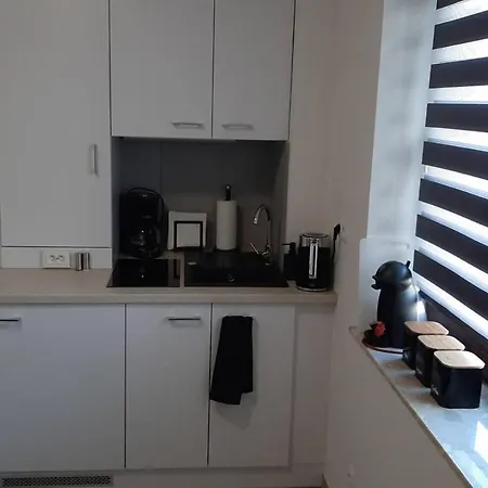 Apartment Fibra Metrio Rybnik (Silesia)