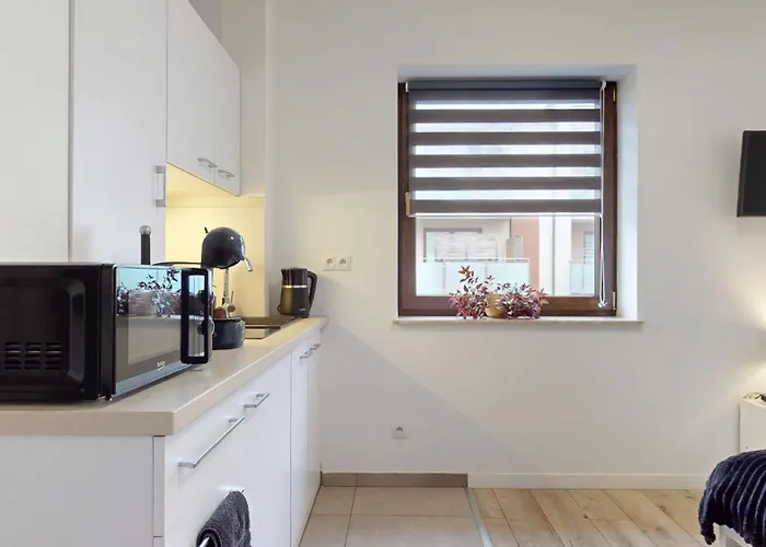 Fibra Metrio Apartmán Rybnik (Silesia)