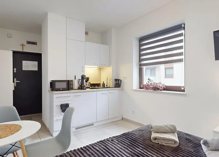 Apartmán Fibra Metrio Rybnik (Silesia)