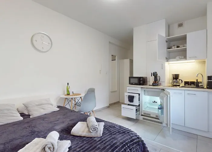 Fibra Metrio Apartmán Rybnik (Silesia)